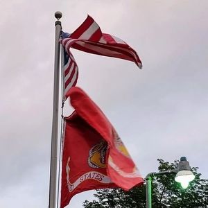 Meet your Posher, Wyatt